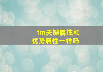 fm关键属性和优势属性一样吗