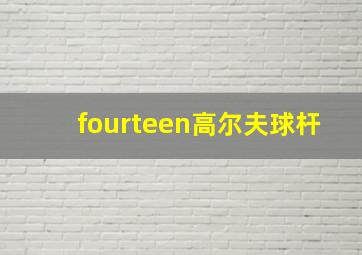 fourteen高尔夫球杆