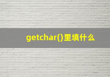 getchar()里填什么