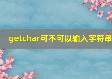 getchar可不可以输入字符串