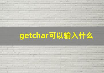 getchar可以输入什么