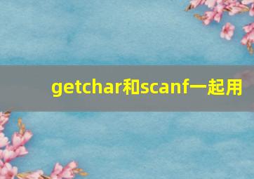 getchar和scanf一起用