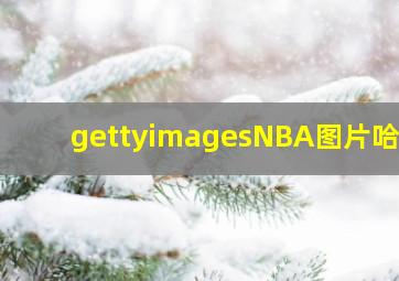 gettyimagesNBA图片哈登