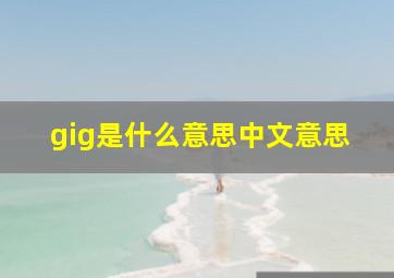 gig是什么意思中文意思