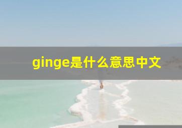 ginge是什么意思中文