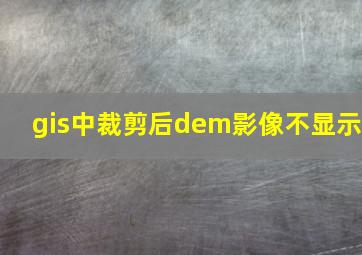 gis中裁剪后dem影像不显示