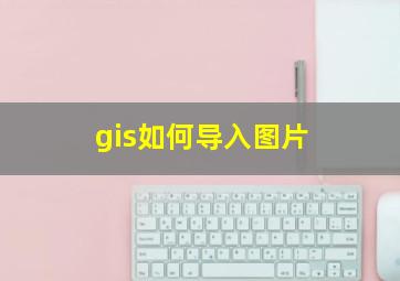 gis如何导入图片