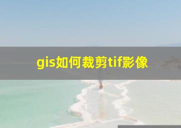 gis如何裁剪tif影像