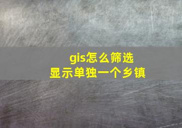 gis怎么筛选显示单独一个乡镇