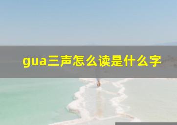 gua三声怎么读是什么字