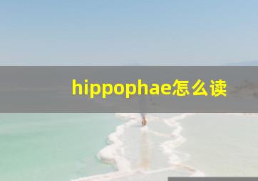 hippophae怎么读