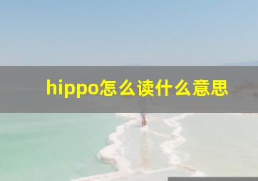 hippo怎么读什么意思