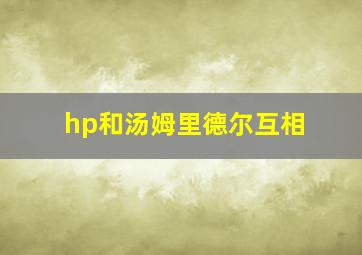 hp和汤姆里德尔互相