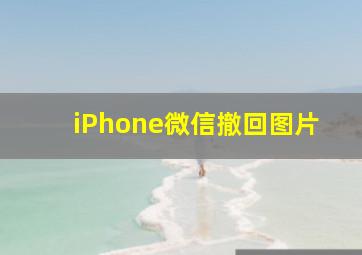 iPhone微信撤回图片