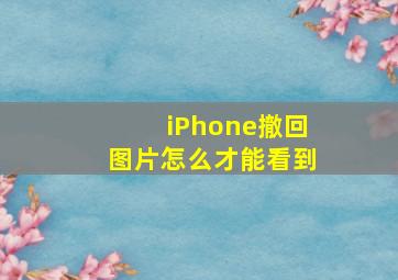 iPhone撤回图片怎么才能看到