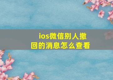 ios微信别人撤回的消息怎么查看