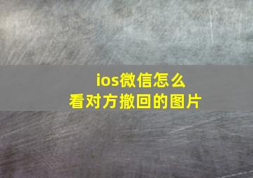 ios微信怎么看对方撤回的图片