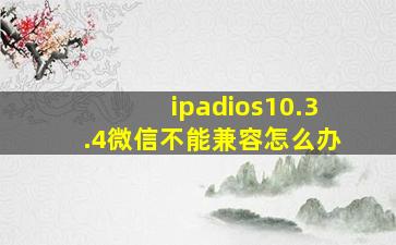 ipadios10.3.4微信不能兼容怎么办