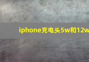 iphone充电头5w和12w