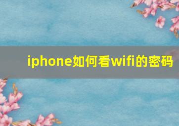 iphone如何看wifi的密码