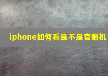 iphone如何看是不是官翻机