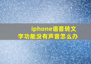 iphone语音转文字功能没有声音怎么办