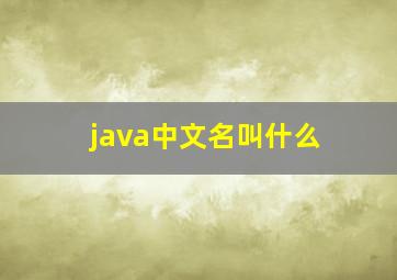 java中文名叫什么