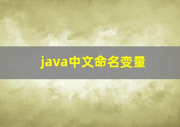 java中文命名变量