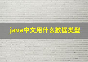 java中文用什么数据类型