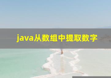 java从数组中提取数字