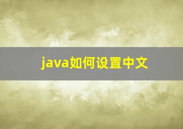 java如何设置中文