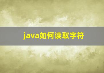 java如何读取字符