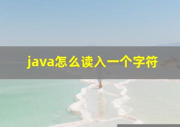 java怎么读入一个字符