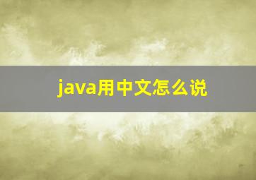 java用中文怎么说