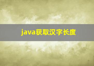 java获取汉字长度