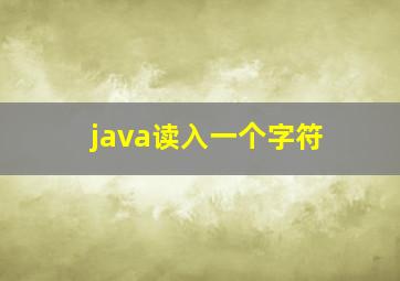 java读入一个字符