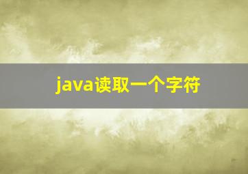 java读取一个字符