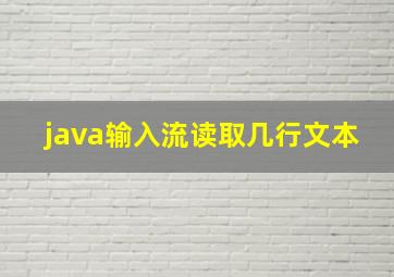 java输入流读取几行文本