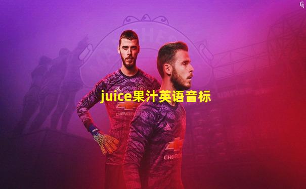 juice果汁英语音标