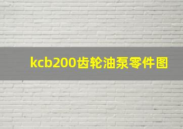 kcb200齿轮油泵零件图