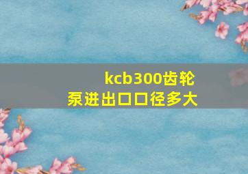 kcb300齿轮泵进出口口径多大