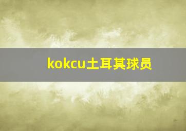 kokcu土耳其球员