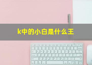 k中的小白是什么王