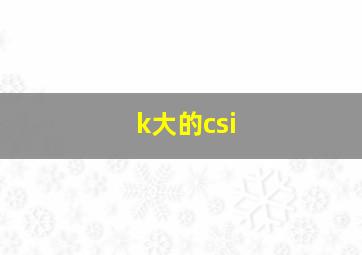 k大的csi