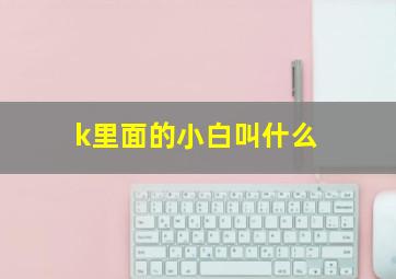 k里面的小白叫什么