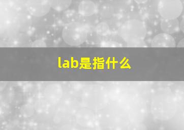 lab是指什么