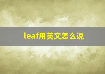 leaf用英文怎么说