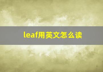 leaf用英文怎么读