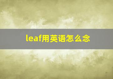 leaf用英语怎么念