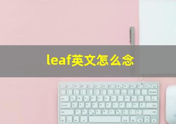 leaf英文怎么念